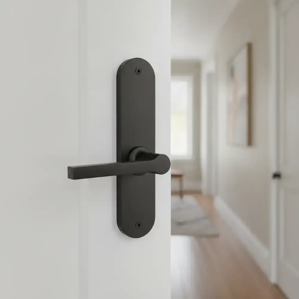 Upgraded matte black interior door handles and hinges